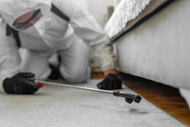 Professional Termite Control technician working in Highgrove, CA