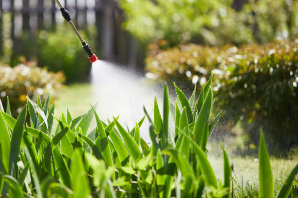 24/7 Emergency Termite Control experts in Highgrove, CA